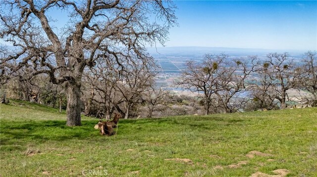 26300 Hazelwood Ct, Tehachapi, CA 93561 - photo 13