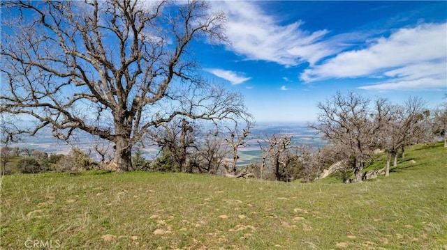 26300 Hazelwood Ct, Tehachapi, CA 93561 - photo 1