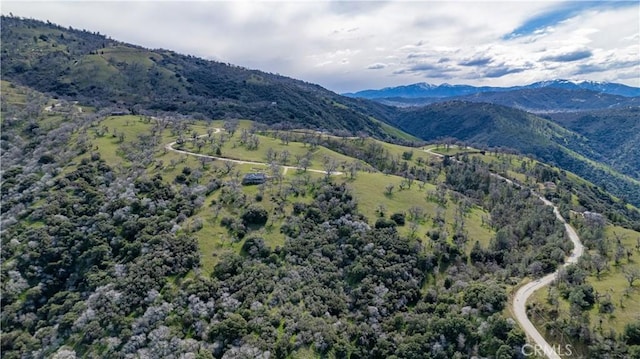 26300 Hazelwood Ct, Tehachapi, CA 93561 - photo 9
