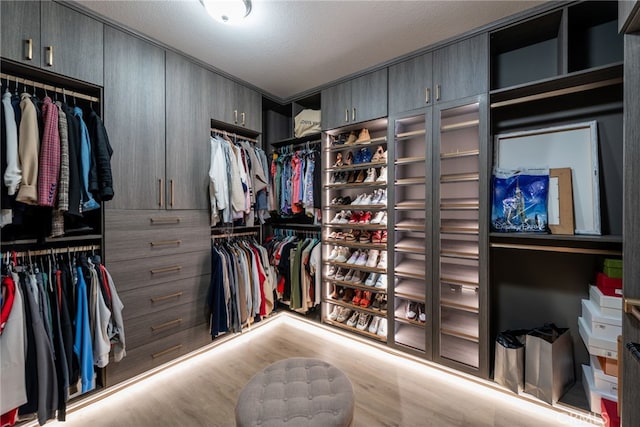 20 Becker, Ladera Ranch, CA 92694 - spacious closet featuring wood finished floors