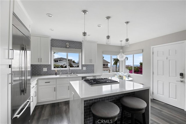 284 Chiquita St, Laguna Beach, CA 92651 - kitchen featuring appliances with stainless steel finishes, dark wood-style floors, healthy amount of natural light, light countertops, and recessed lighting