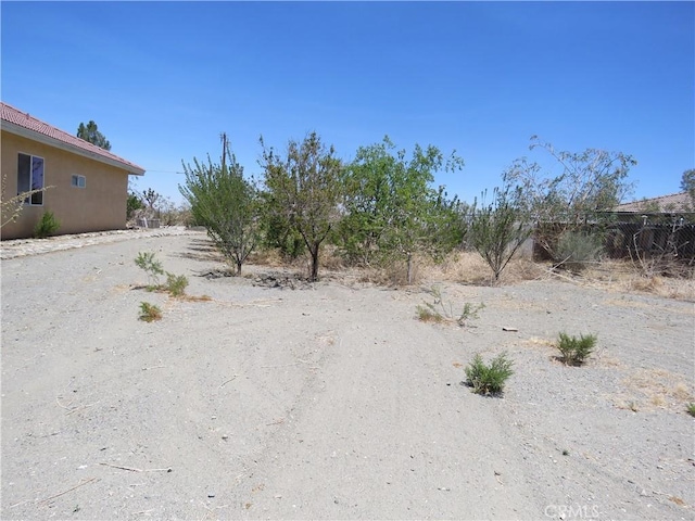 2425 Tokay Rd, Phelan, CA 92371 - view of yard