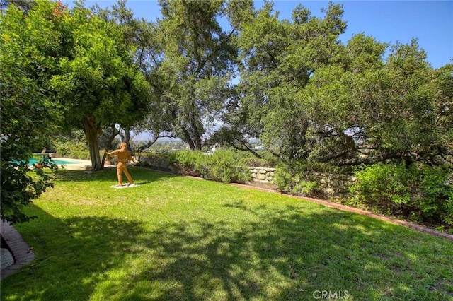 1075 Pine Oak Ln, Pasadena, CA 91105 - view of green lawn