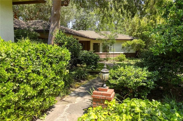 1075 Pine Oak Ln, Pasadena, CA 91105 - view of yard