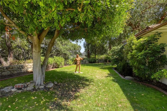 1075 Pine Oak Ln, Pasadena, CA 91105 - view of grassy yard