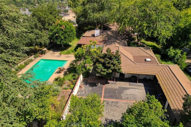 1075 Pine Oak Ln, Pasadena, CA 91105 - view of subject property with a pool area
