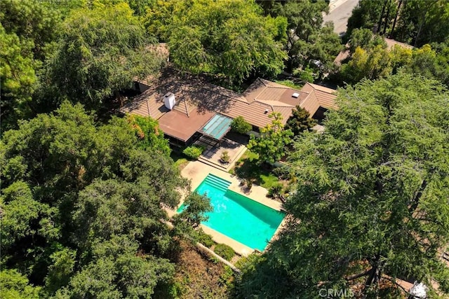1075 Pine Oak Ln, Pasadena, CA 91105 - view of subject property with a pool and a forest