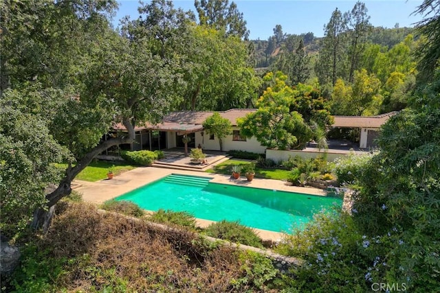 1075 Pine Oak Ln, Pasadena, CA 91105 - outdoor pool with a view of trees and a patio area