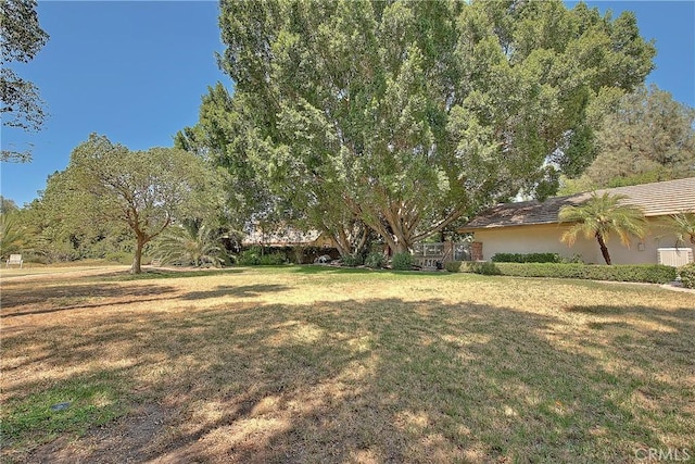 2290 Decade Ct, Riverside, CA 92506 - view of grassy yard