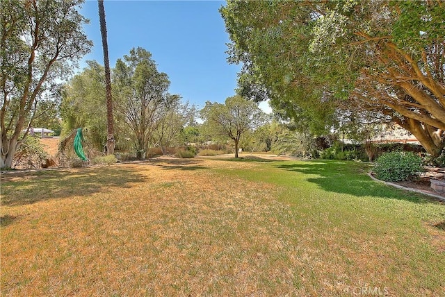 2290 Decade Ct, Riverside, CA 92506 - view of green lawn