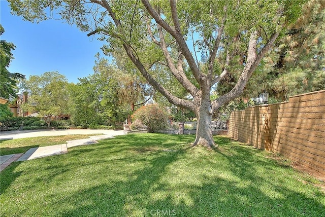 2290 Decade Ct, Riverside, CA 92506 - view of yard