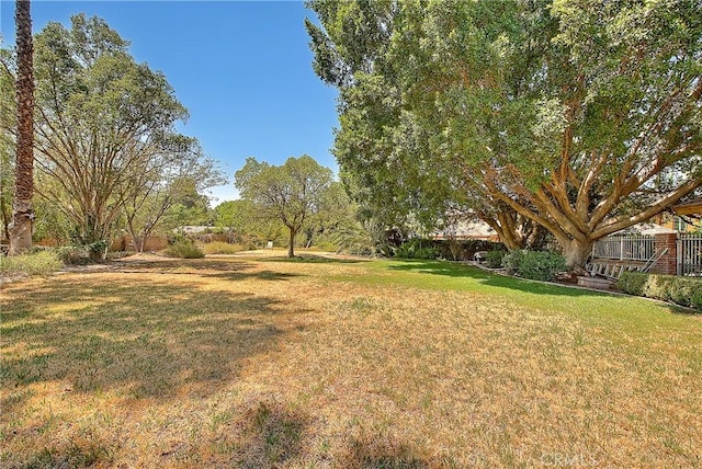 2290 Decade Ct, Riverside, CA 92506 - view of grassy yard