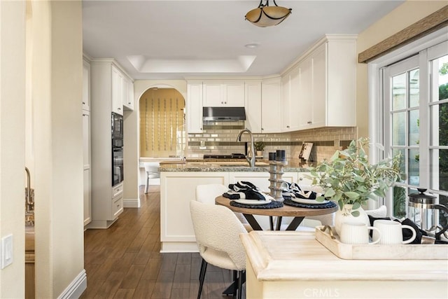 2 Via Barcaza, Coto De Caza, CA 92679 - kitchen with under cabinet range hood, backsplash, dark wood-style floors, a peninsula, and arched walkways
