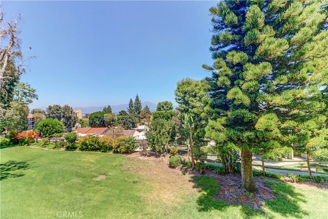3365 Punta Alta Unit 2F, Laguna Woods, CA 92637 - view of grassy yard