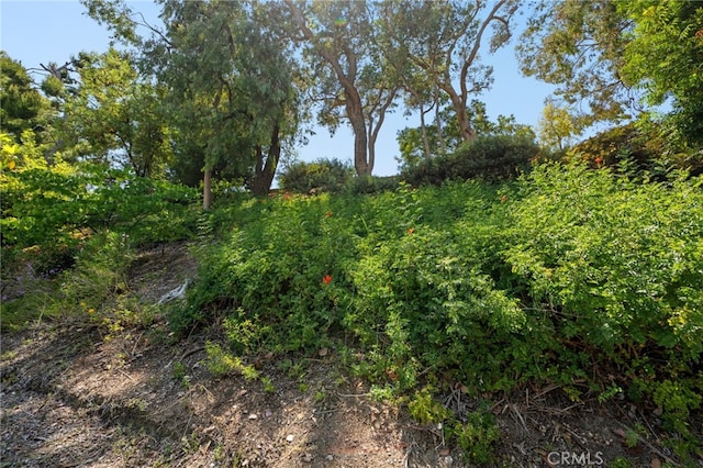 18911 Crimson Cir, Huntington Beach, CA 92646 - view of nature