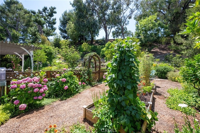 18911 Crimson Cir, Huntington Beach, CA 92646 - view of yard with a garden and a pergola