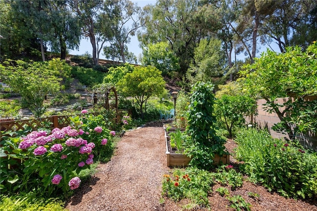 18911 Crimson Cir, Huntington Beach, CA 92646 - view of yard with a garden