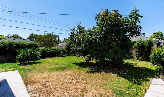 837 S Clementine St, Anaheim, CA 92805 - photo 23