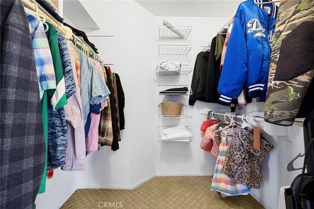 3143 Tourmaline Ln, Palmdale, CA 93550 - view of walk in closet