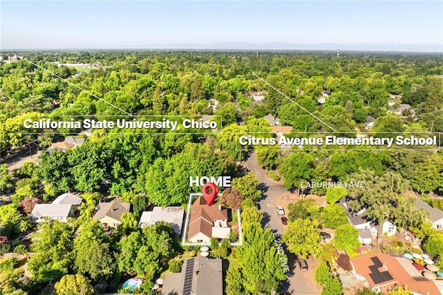 1168 Laburnum Ave, Chico, CA 95926 - drone / aerial view of a forest
