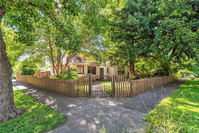 1168 Laburnum Ave, Chico, CA 95926 - view of property hidden behind natural elements featuring a fenced front yard, a gate, and stucco siding