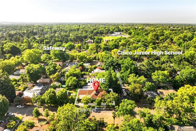 1168 Laburnum Ave, Chico, CA 95926 - bird's eye view of a forest