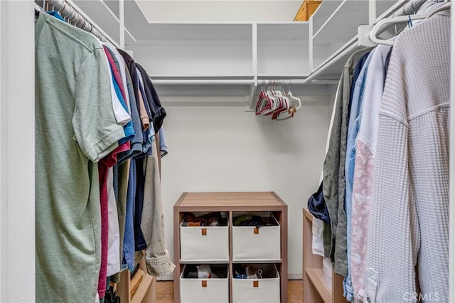 2433 S Gaffey St, San Pedro, CA 90731 - view of spacious closet