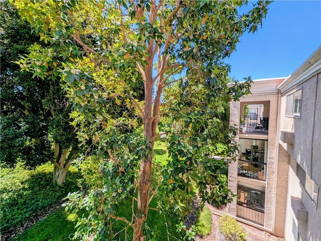 5499 Paseo Del Lago W Unit 3D, Laguna Woods, CA 92637 - view of yard