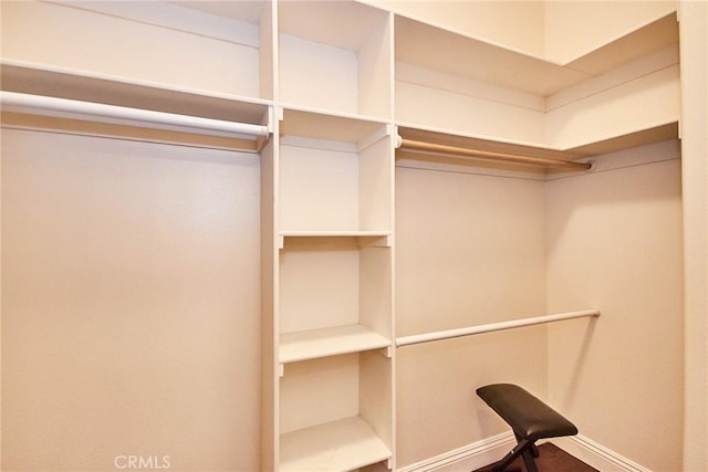 717 Arcadia Ave Unit C, Arcadia, CA 91007 - view of spacious closet
