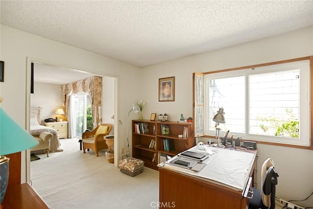 23484 Coyote Springs Dr, Diamond Bar, CA 91765 - office space with carpet floors and a textured ceiling