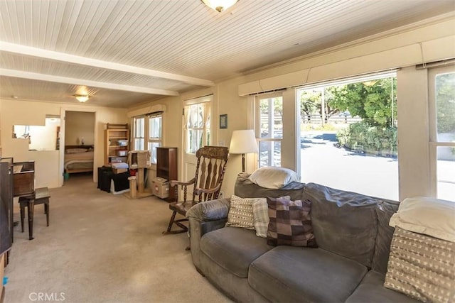1410 Verde Canyon Rd, Arroyo Grande, CA 93420 - living area featuring plenty of natural light, light carpet, and wood ceiling