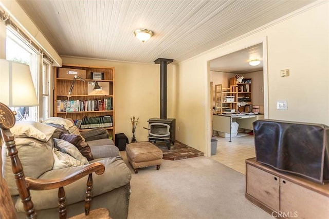 1410 Verde Canyon Rd, Arroyo Grande, CA 93420 - living area featuring a wood stove