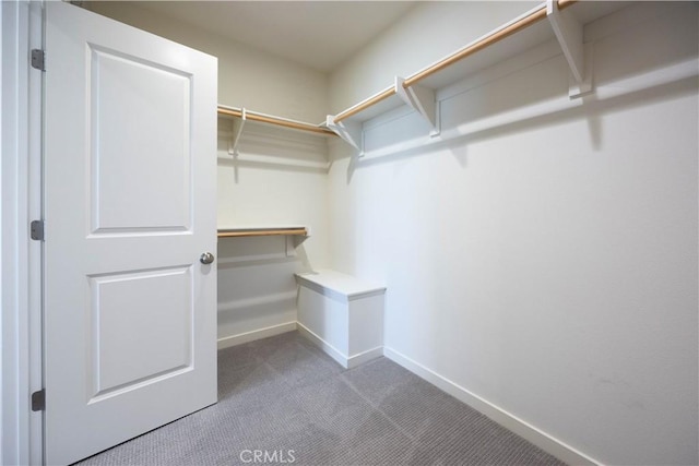 134 Milky Way, Irvine, CA 92618 - spacious closet with carpet