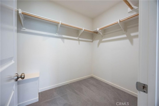 134 Milky Way, Irvine, CA 92618 - spacious closet with carpet