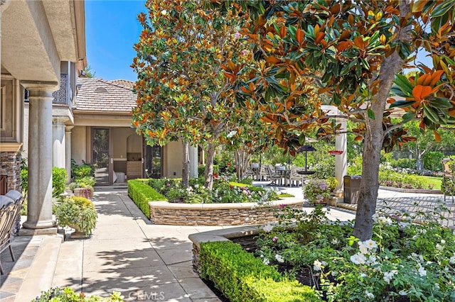 6 Hunter, Coto De Caza, CA 92679 - photo 28