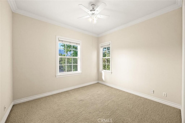 2786 E California Blvd, Pasadena, CA 91107 - carpeted spare room featuring crown molding and a ceiling fan