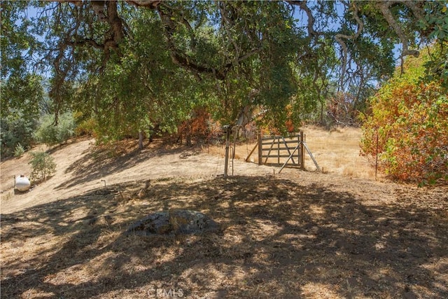 46424 Baldpate Ln, Squaw Valley, CA 93675 - view of yard