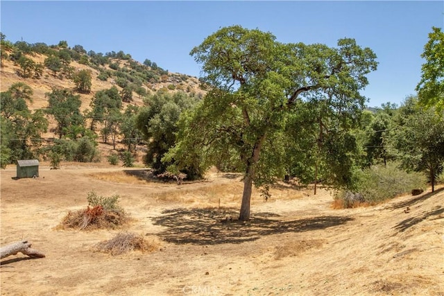 46424 Baldpate Ln, Squaw Valley, CA 93675 - view of nature with rural landscape