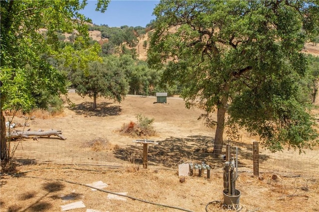 46424 Baldpate Ln, Squaw Valley, CA 93675 - view of undeveloped land featuring rural landscape