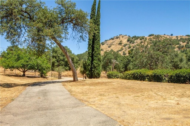 46424 Baldpate Ln, Squaw Valley, CA 93675 - view of community with asphalt driveway