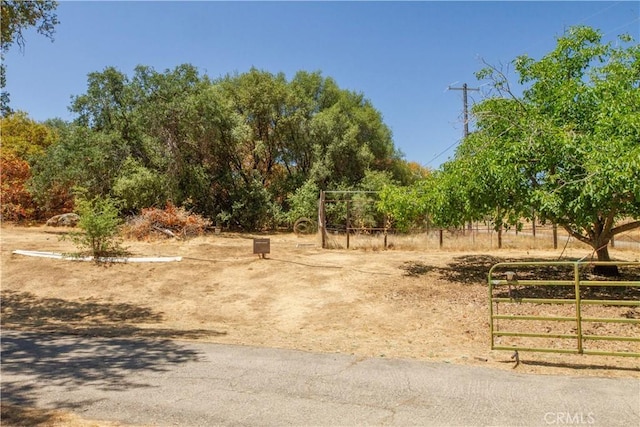 46424 Baldpate Ln, Squaw Valley, CA 93675 - view of yard with a view of rural / pastoral area