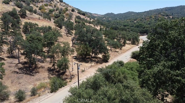 46424 Baldpate Ln, Squaw Valley, CA 93675 - mountain view