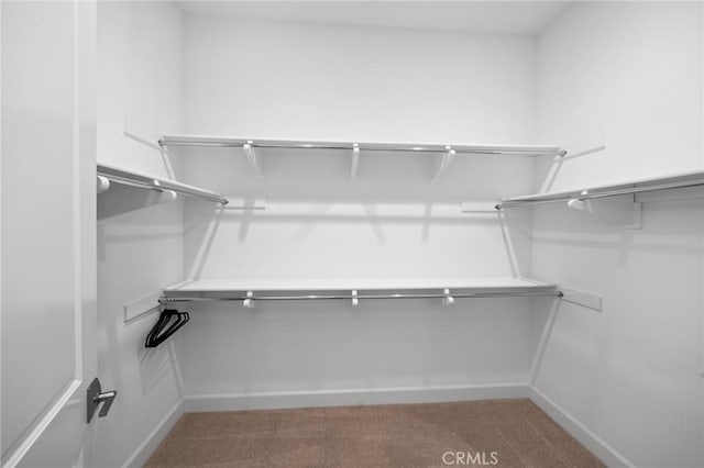 138 Jayhawk, Irvine, CA 92602 - walk in closet featuring light carpet