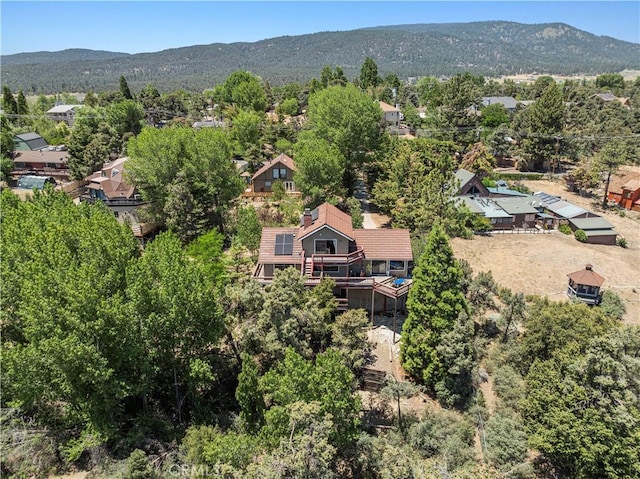 1104 Snowbird Dr, Frazier Park, CA 93225 - drone / aerial view of a mountainous background