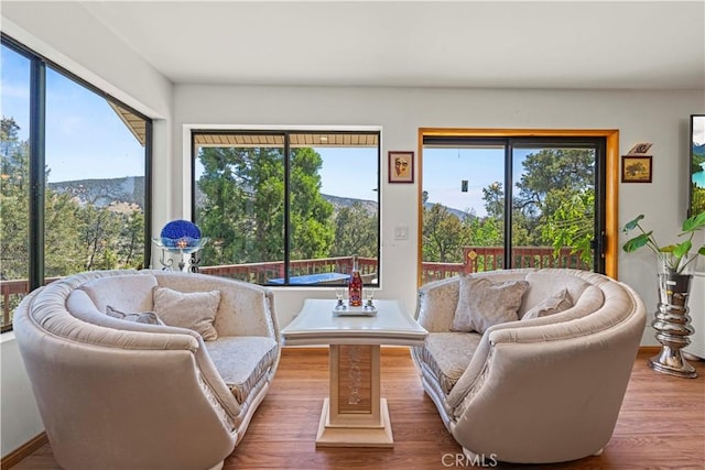 1104 Snowbird Dr, Frazier Park, CA 93225 - living room with wood finished floors and plenty of natural light