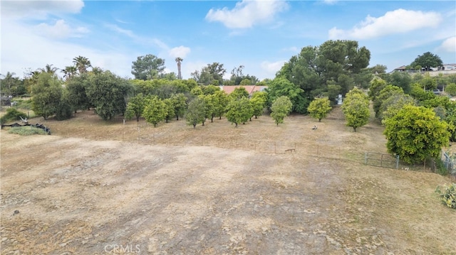 16151 Sunset Way, Valley Center, CA 92082 - view of undeveloped land with rural landscape and rows of crops