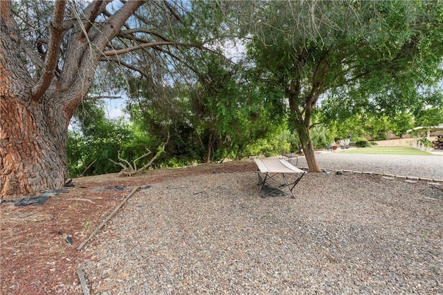 16151 Sunset Way, Valley Center, CA 92082 - view of yard