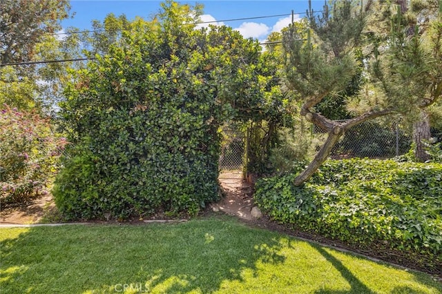 1296 Tiger Tail Dr, Riverside, CA 92506 - view of grassy yard