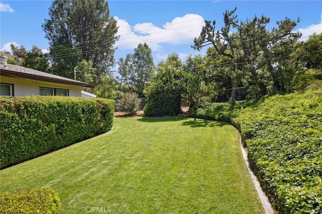 1296 Tiger Tail Dr, Riverside, CA 92506 - view of green lawn