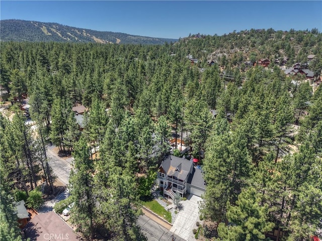 457 Woodside Dr, Big Bear City, CA 92314 - photo 4
